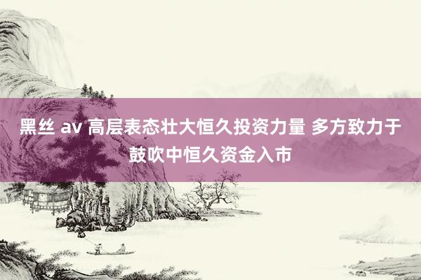 黑丝 av 高层表态壮大恒久投资力量 多方致力于鼓吹中恒久资金入市