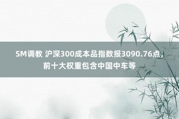 SM调教 沪深300成本品指数报3090.76点，前十大权重包含中国中车等