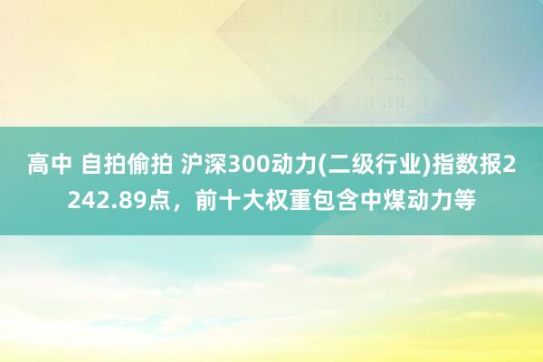 高中 自拍偷拍 沪深300动力(二级行业)指数报2242.89点，前十大权重包含中煤动力等