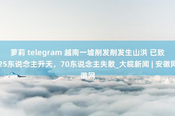 萝莉 telegram 越南一墟削发削发生山洪 已致25东说念主升天，70东说念主失散_大皖新闻 | 安徽网