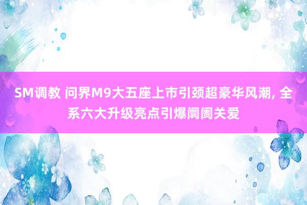 SM调教 问界M9大五座上市引颈超豪华风潮, 全系六大升级亮点引爆阛阓关爱