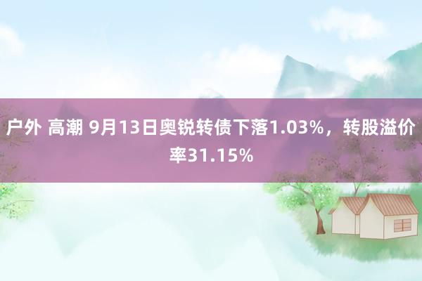 户外 高潮 9月13日奥锐转债下落1.03%，转股溢价率31.15%