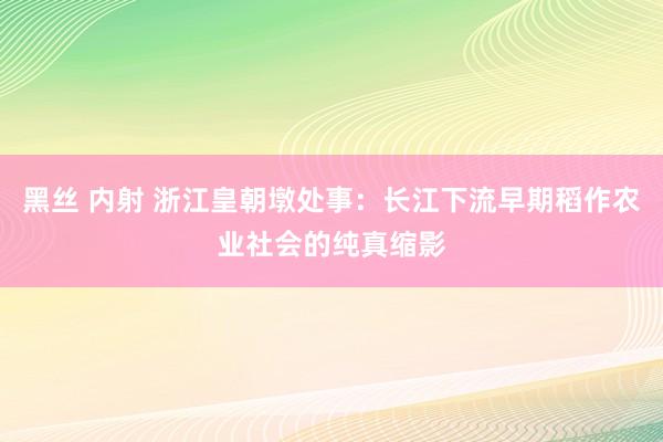 黑丝 内射 浙江皇朝墩处事：长江下流早期稻作农业社会的纯真缩影