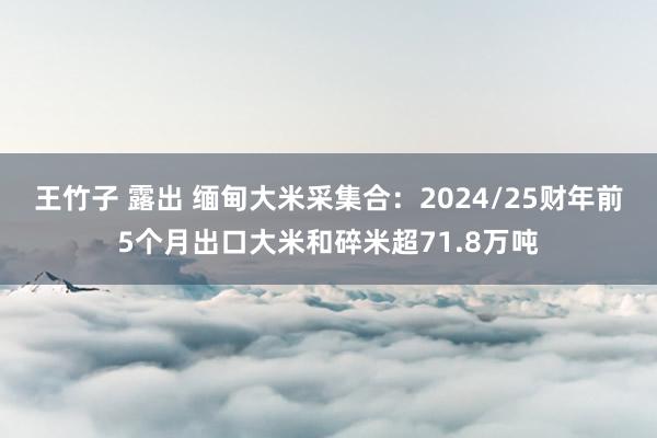 王竹子 露出 缅甸大米采集合：2024/25财年前5个月出口大米和碎米超71.8万吨