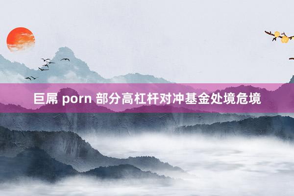 巨屌 porn 部分高杠杆对冲基金处境危境