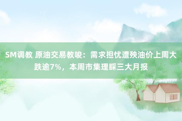 SM调教 原油交易教唆：需求担忧遭殃油价上周大跌逾7%，本周市集理睬三大月报