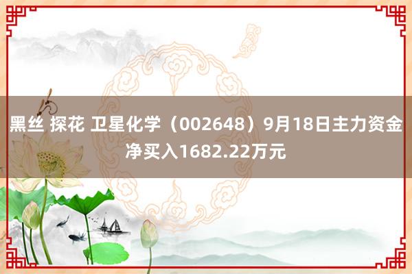 黑丝 探花 卫星化学（002648）9月18日主力资金净买入1682.22万元