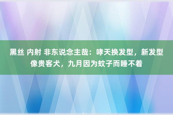 黑丝 内射 非东说念主哉：哮天换发型，新发型像贵客犬，九月因为蚊子而睡不着