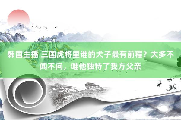 韩国主播 三国虎将里谁的犬子最有前程？大多不闻不问，唯他独特了我方父亲