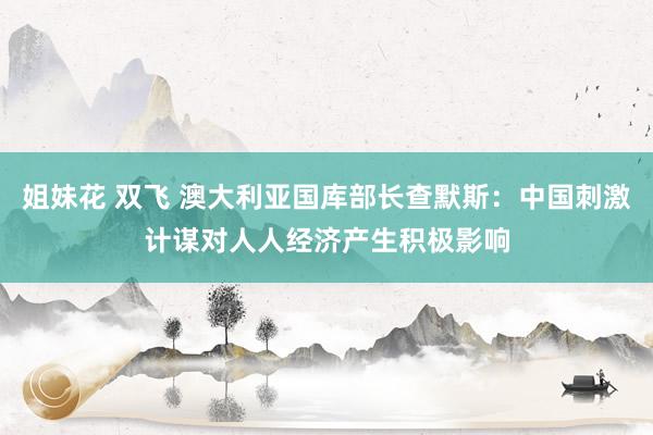 姐妹花 双飞 澳大利亚国库部长查默斯：中国刺激计谋对人人经济产生积极影响