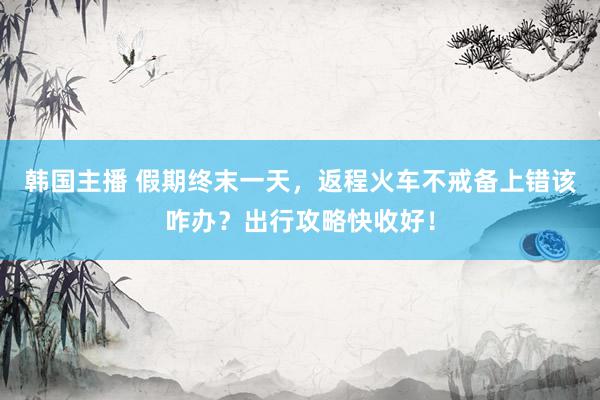 韩国主播 假期终末一天，返程火车不戒备上错该咋办？出行攻略快收好！