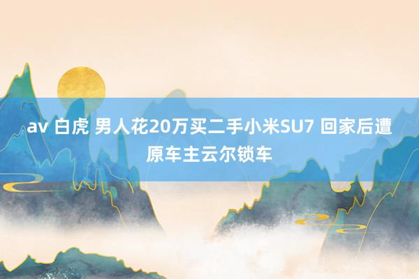 av 白虎 男人花20万买二手小米SU7 回家后遭原车主云尔锁车