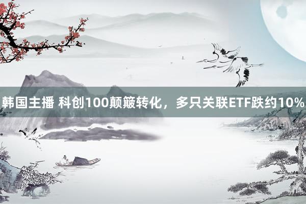 韩国主播 科创100颠簸转化，多只关联ETF跌约10%