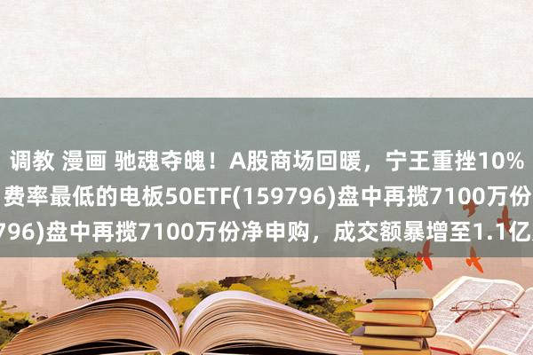 调教 漫画 驰魂夺魄！A股商场回暖，宁王重挫10%，同品类中界限最大、费率最低的电板50ETF(159796)盘中再揽7100万份净申购，成交额暴增至1.1亿元