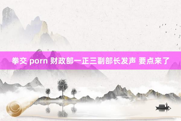 拳交 porn 财政部一正三副部长发声 要点来了