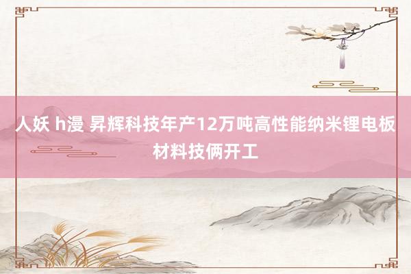 人妖 h漫 昇辉科技年产12万吨高性能纳米锂电板材料技俩开工