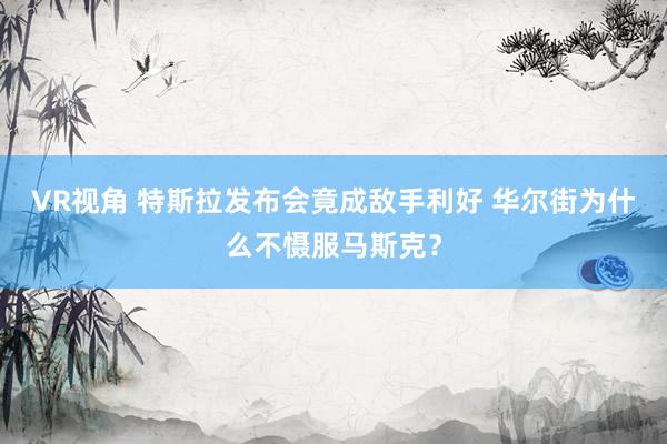 VR视角 特斯拉发布会竟成敌手利好 华尔街为什么不慑服马斯克？