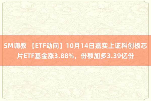 SM调教 【ETF动向】10月14日嘉实上证科创板芯片ETF基金涨3.88%，份额加多3.39亿份