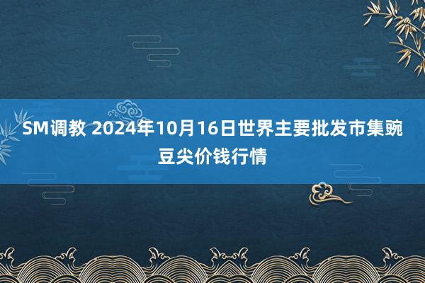 SM调教 2024年10月16日世界主要批发市集豌豆尖价钱行情