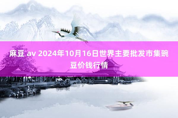 麻豆 av 2024年10月16日世界主要批发市集豌豆价钱行情