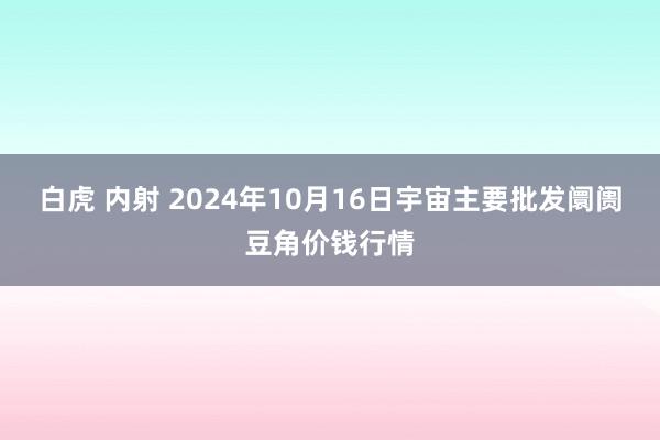 白虎 内射 2024年10月16日宇宙主要批发阛阓豆角价钱行情