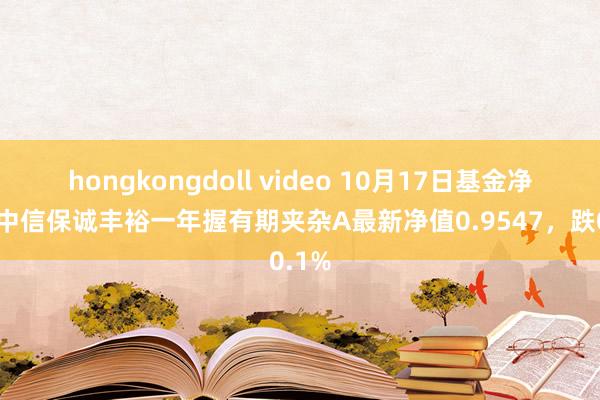 hongkongdoll video 10月17日基金净值：中信保诚丰裕一年握有期夹杂A最新净值0.9547，跌0.1%