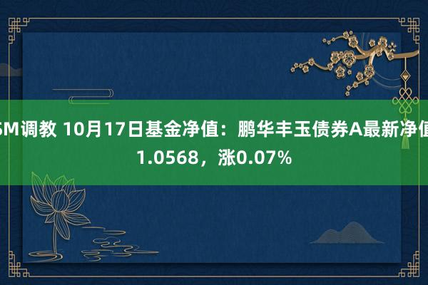 SM调教 10月17日基金净值：鹏华丰玉债券A最新净值1.0568，涨0.07%