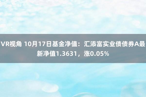 VR视角 10月17日基金净值：汇添富实业债债券A最新净值1.3631，涨0.05%