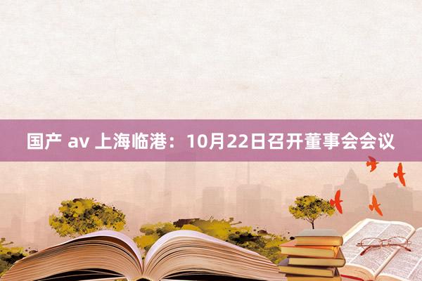 国产 av 上海临港：10月22日召开董事会会议