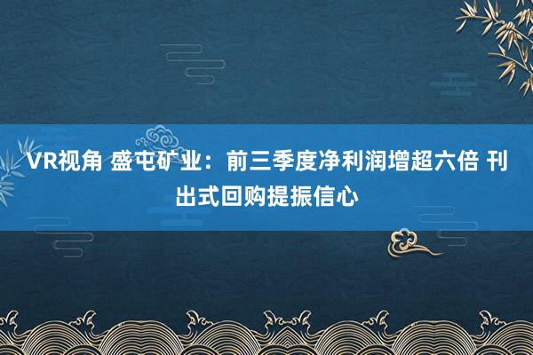 VR视角 盛屯矿业：前三季度净利润增超六倍 刊出式回购提振信心