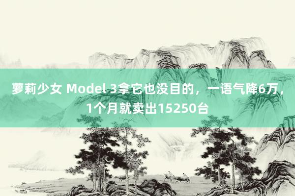 萝莉少女 Model 3拿它也没目的，一语气降6万，1个月就卖出15250台