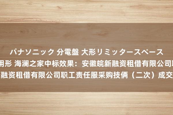 パナソニック 分電盤 大形リミッタースペースなし 露出・半埋込両用形 海澜之家中标效果：安徽皖新融资租借有限公司职工责任服采购技俩（二次）成交效果公告