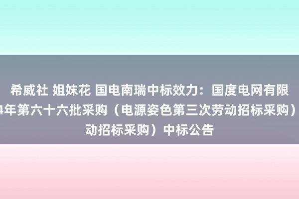 希威社 姐妹花 国电南瑞中标效力：国度电网有限公司2024年第六十六批采购（电源姿色第三次劳动招标采购）中标公告