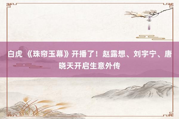 白虎 《珠帘玉幕》开播了！赵露想、刘宇宁、唐晓天开启生意外传