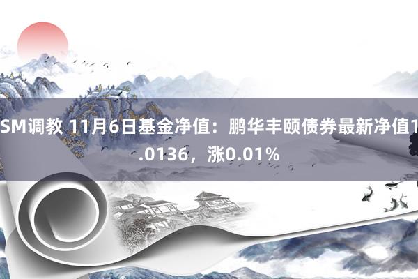 SM调教 11月6日基金净值：鹏华丰颐债券最新净值1.0136，涨0.01%