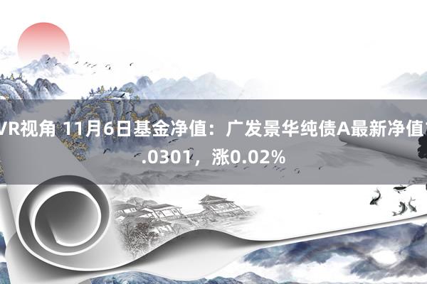 VR视角 11月6日基金净值：广发景华纯债A最新净值1.0301，涨0.02%