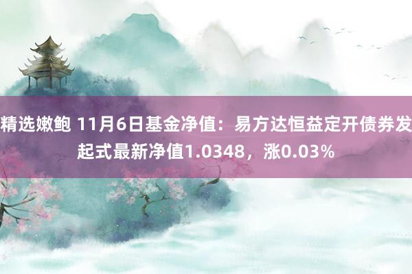 精选嫩鲍 11月6日基金净值：易方达恒益定开债券发起式最新净值1.0348，涨0.03%