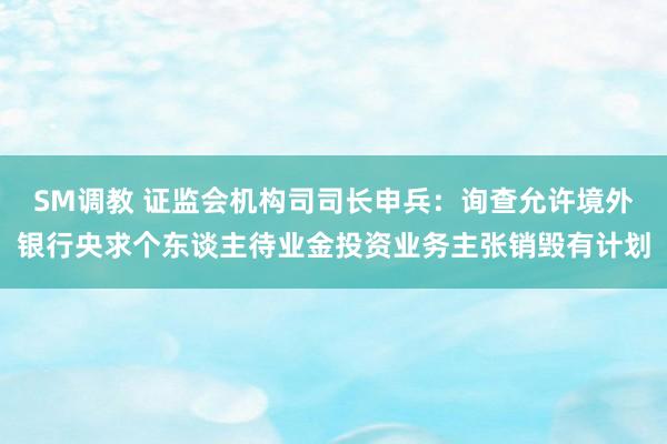 SM调教 证监会机构司司长申兵：询查允许境外银行央求个东谈主待业金投资业务主张销毁有计划